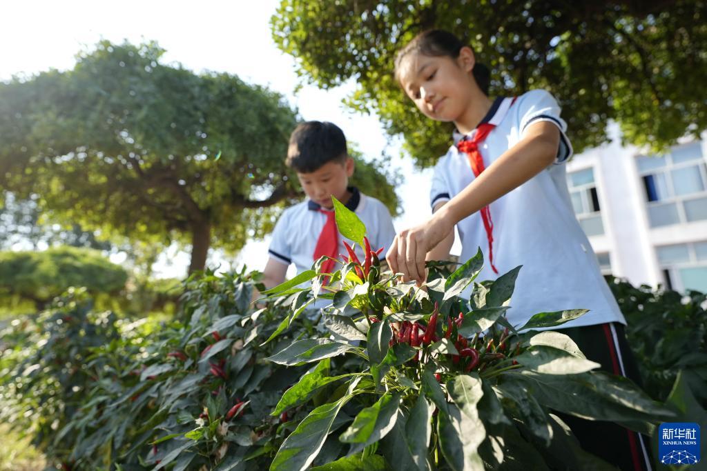 皇冠会员手机登陆
